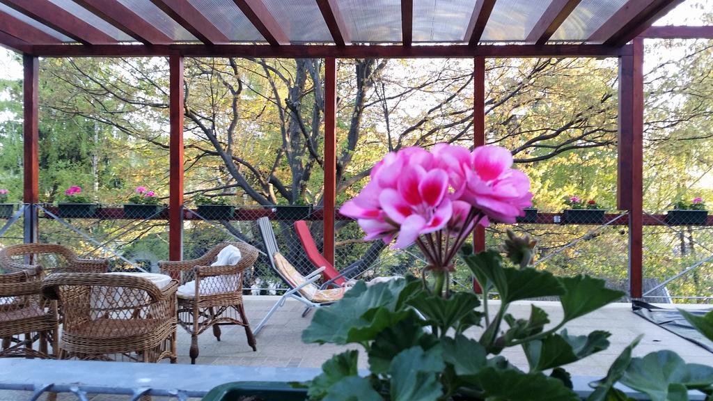 Hotel Matraszentimre Panzio Zewnętrze zdjęcie